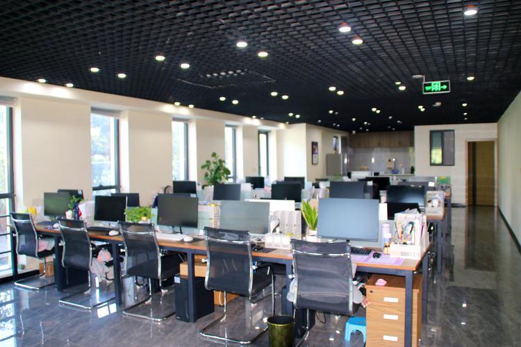 建才企业管理集团 企业总部管理的卓越实践与创新探索